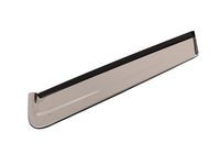 GM 85136432 Molding Assembly, Body Si Rr