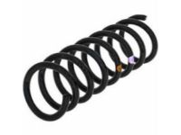 Cadillac Fleetwood Coil Springs - 10035259 Rear Spring