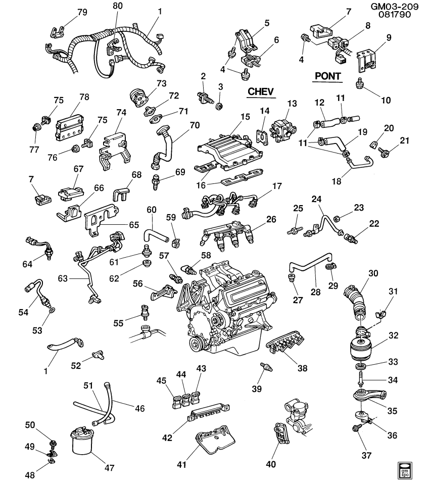 GM 12081222 HARNESS, Engine Wiring