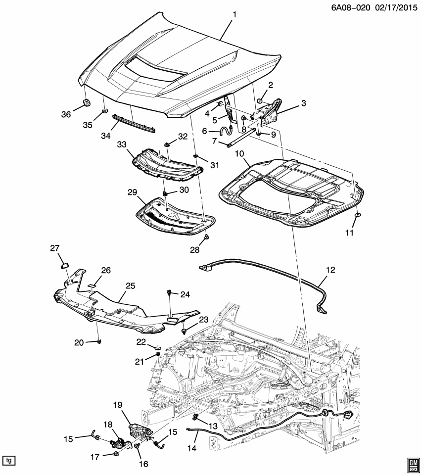 GM 23405404 Hinge Assembly, Hood (Lh)