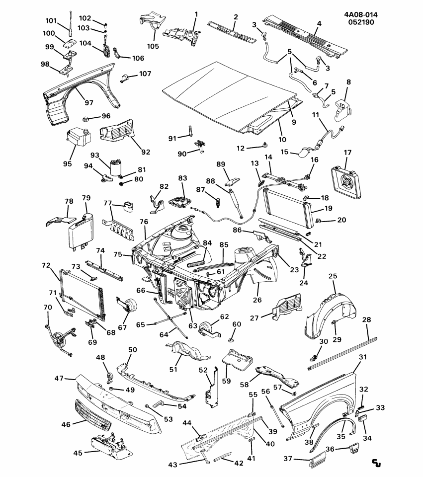 GM 10067923 Lamp Assembly, Underhood
