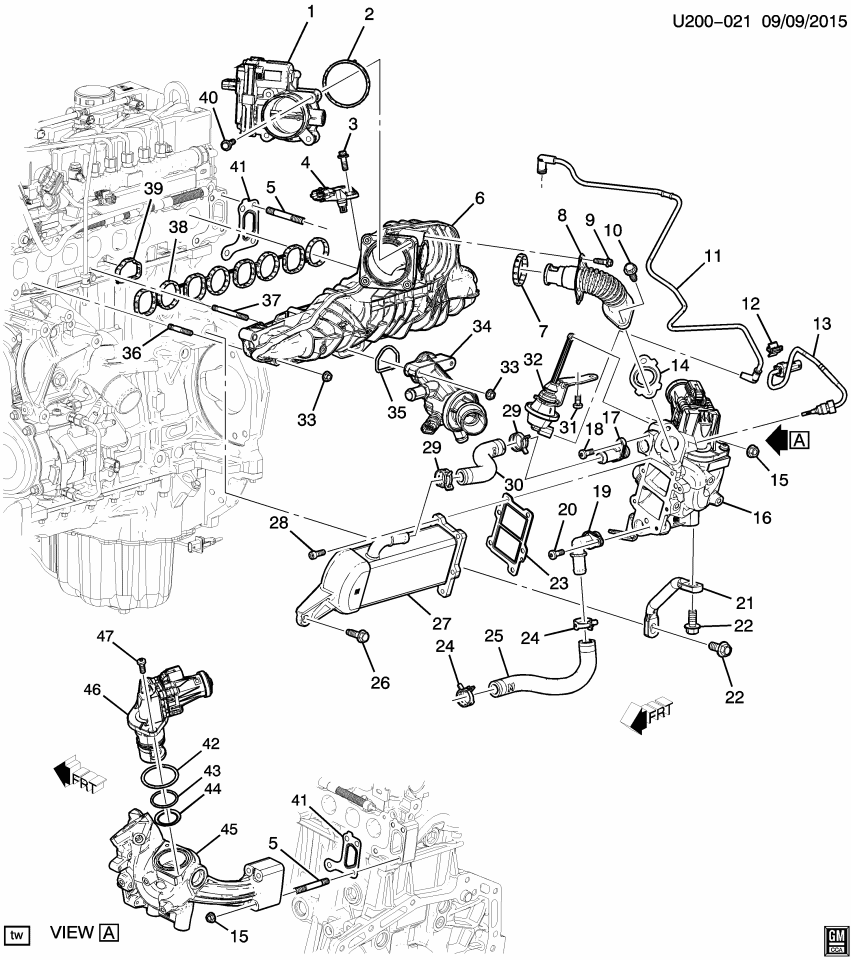 GM 12640050 Gasket, Egr Pipe (Intake Manifold Side)