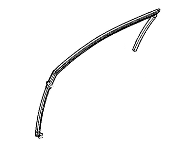 Chevrolet Impala Window Channel - 10364678