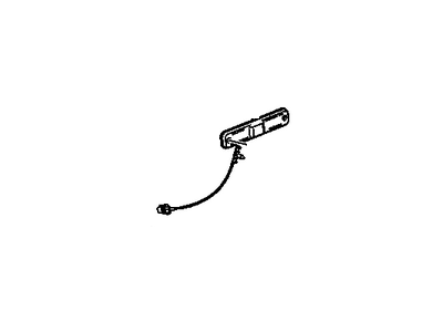 GM 25952319 Lamp Assembly, Front Side Marker