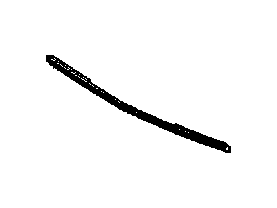 GM 1629811 Strip, Front Bumper Rubber