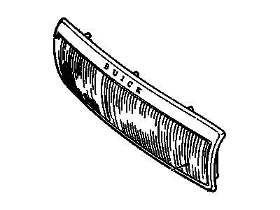 GM 10211248 Grille, Radiator