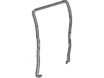 GM 15097864 Weatherstrip Assembly, Rear Side Door T