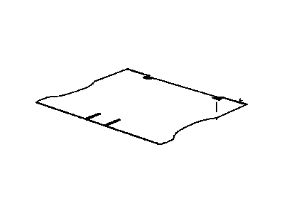 GM 21059907 Carpet,Rear Compartment Floor Panel *Medium Duty Wm. Gray