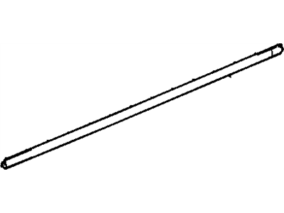 GM 92232813 Weatherstrip Assembly, Front Side Door Lower Auxiliary