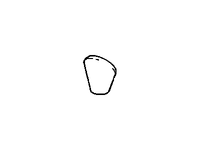 2002 Chevrolet Corvette Shift Knob - 12559931