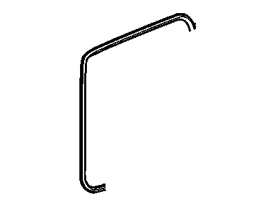 GM 19259359 Weatherstrip Asm,Rear Door