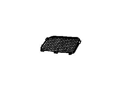 GM 25671583 Grille, Radiator Inner