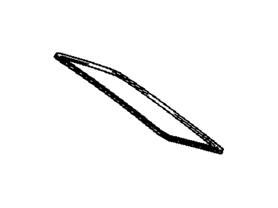 GM 30004021 Weatherstrip, Front Roof