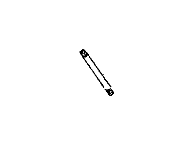 GM 10419991 Strut Assembly, Rear Compartment Lift Window