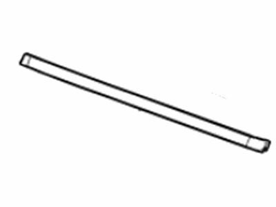 GM 84862522 Weatherstrip Assembly, Rear S/D Lwr Aux