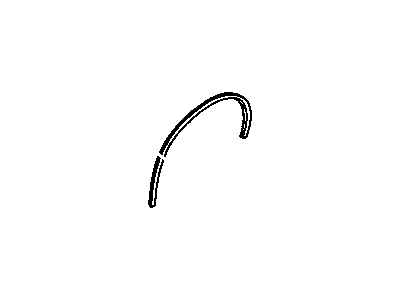 GM 22536283 Molding, Bright