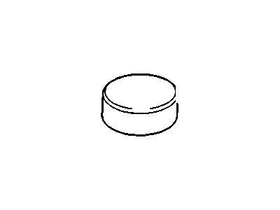 GM 25654448 COVER, Spare Tire Compartment
