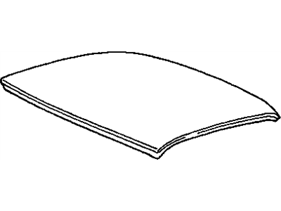 GM 10087206 Roof Panel 10087206 GM Roof Panel Illustration 1 of 1