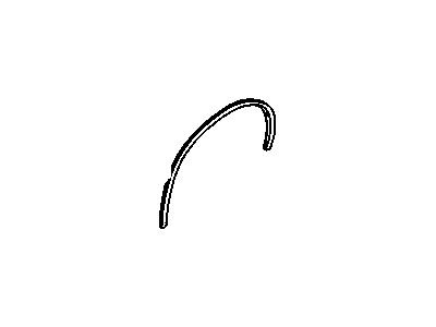 GM 22536282 Molding, Bright