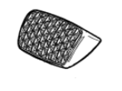 GM 23416260 Pad, Brake Pedal