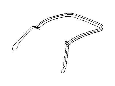GM 20176025 Weatherstrip - Sun Roof Panel
