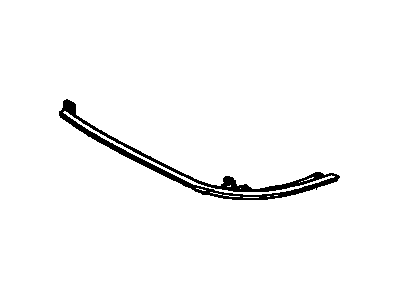 GM 10037494 Molding, Headlamp Opening, Light