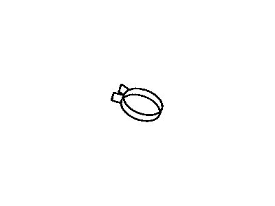 GM 88975808 Clamp,Rear Intake Air Duct