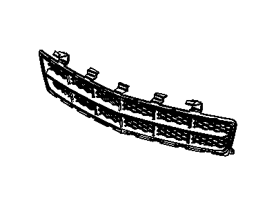 GM 20978940 Grille, Radiator Center