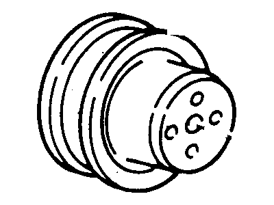 GM 14025187 Pulley Assembly, W/Pump&Fan