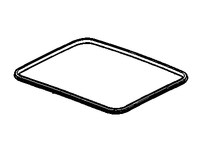 GM 15250977 Lace Assembly, Sun Roof Opening Trim Finish