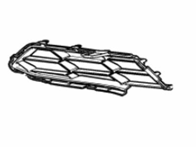 GM 84955043 Grille, Front Lwr *Carbon Flasht