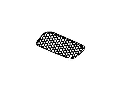 GM 10310169 Grille, Radiator Inner