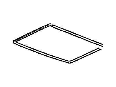 GM 22732457 Lace Assembly, Sun Roof Opening Trim Finish