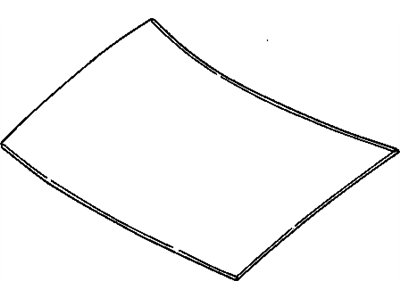 GM 97016293 Hood