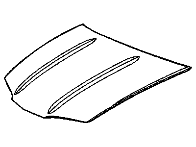 GM 25556495 Hood Asm