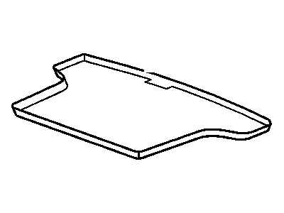 GM 21998727 Mat, Rear Compartment Floor *Titanium