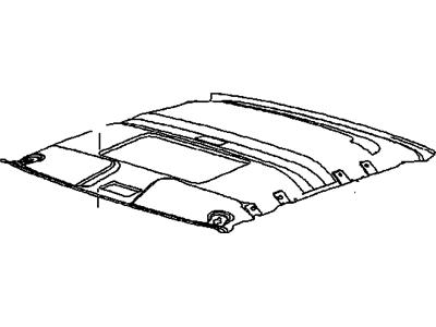 GM 21304862 Panel Asm,Headlining Trim *Light Bisc