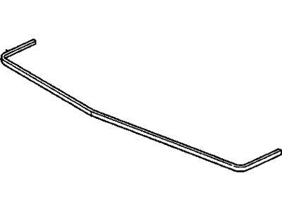 GM 10031458 Strip Assembly, Front Bumper Outer Rubber
