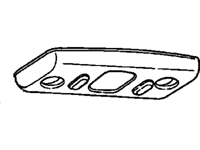 GM 5976620 Lamp Assembly, Roof Rail Courtesy & Reading *Black