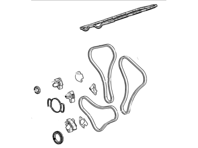 GM 12700436 Chain Pkg, Tmg