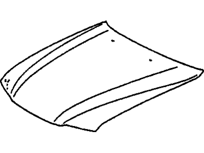 GM 94857057 Hood