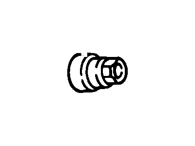 GM 10028614 Wheel Nut Cap