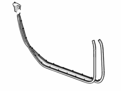 GM 84688859 Weatherstrip Assembly, Front S/D (Dr Si)