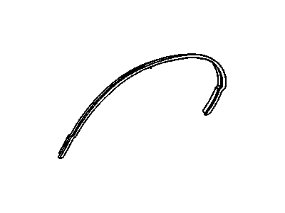 GM 10019344 Molding Asm