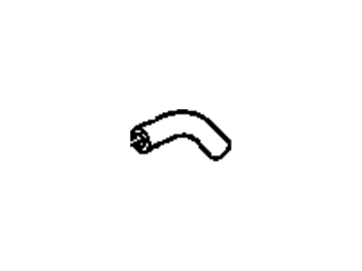 GM 10046151 Hose, Air Injector Engine Check Valve