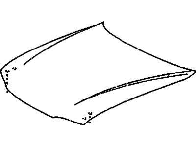 GM 94851993 Hood