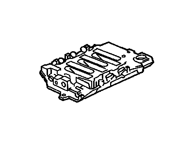 GM 24502025 Manifold Assembly, Lower Intake