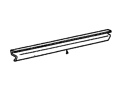 GM 20448020 S/Strip, Front Door Bottom Auxiliary