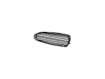 GM 25622144 Grille, Radiator