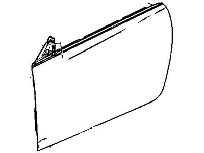 GM 20838060 Door Assembly, Front Side